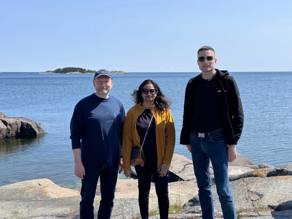 Strategic Planning in Hanko